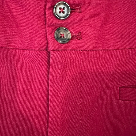 Anthropologie fuchsia essential skinny leg pants with purple stripe - Picture 1 of 7